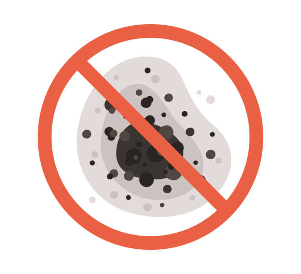 Best Mold-Related Health Consultation  in Logan Elm Village, OH